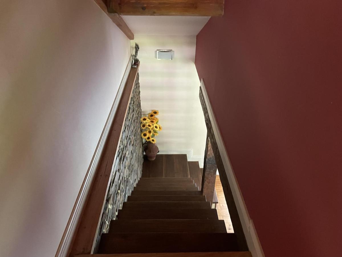 O Celeiros Villa Freixo  Kültér fotó